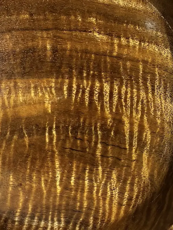 Close in on koa in Kaleb’s curly koa bowl: ripples of golden curl across brown heartwood